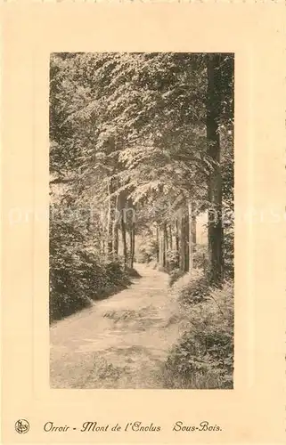 AK / Ansichtskarte Orroir Mont de l`Enclus Sous Bois Orroir