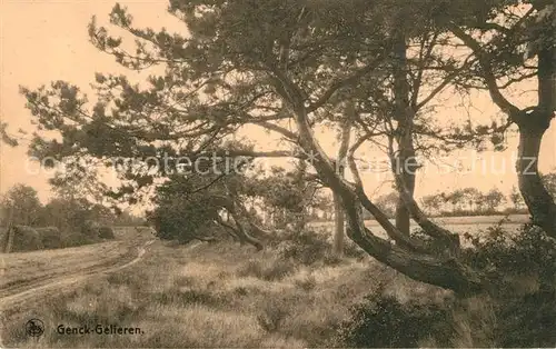 AK / Ansichtskarte Gelieren Landschaftspanorama Alte Baeume Gelieren