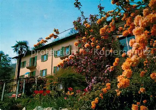 AK / Ansichtskarte Monti_Locarno_TI Pension Tabor Monti_Locarno_TI