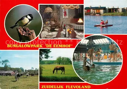 AK / Ansichtskarte Zuidelijk Flevoland De Eemhof Bungalowpark Details Hallenbad 