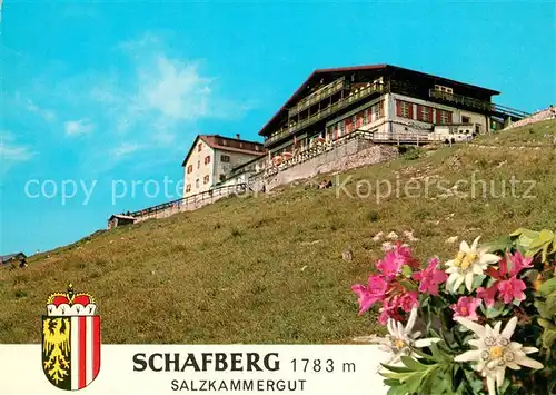 AK / Ansichtskarte Schafberg_Salzkammergut Haus Schafbergspitze Schafberg Salzkammergut