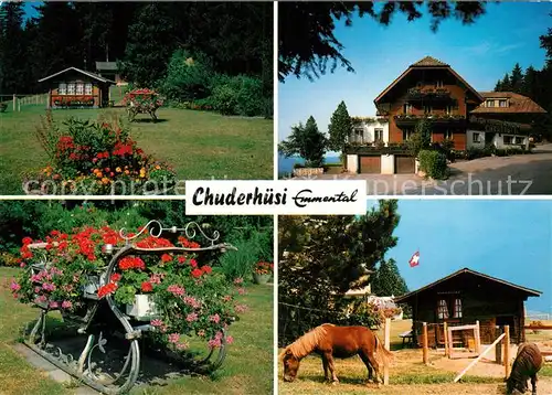 AK / Ansichtskarte Roethenbach_Emmental Chuderhuesi Park Blumenschlitten Pferde Roethenbach Emmental