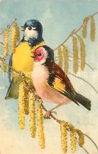 AK / Ansichtskarte Voegel Blaumeise Rotkehlchen Kuenstlerkarte  