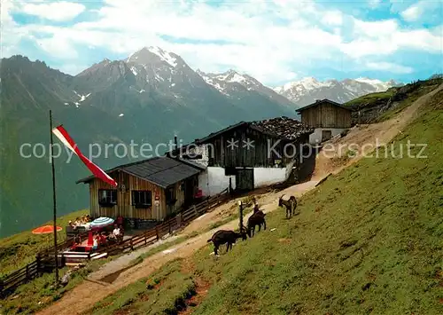 AK / Ansichtskarte Fulpmes_Tirol Kaserstatt Alm Ziegen Fulpmes Tirol