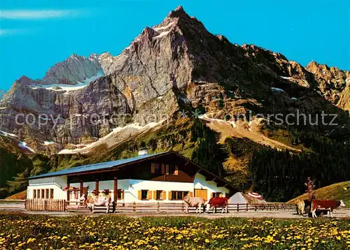 AK / Ansichtskarte Eng_Alm Rasthuette Kuehe Eng_Alm
