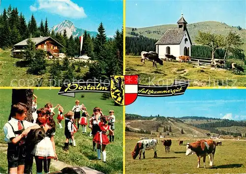 AK / Ansichtskarte Strobl Postalm Kinder in Tracht Kuehe Strobl