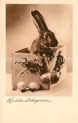 AK / Ansichtskarte Ostern_Easter_Paques Hase Ostereier Weidenkaetzchen 