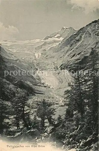 AK / Ansichtskarte Gletscher Paluegletscher Alpe Gruem  