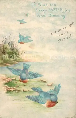 AK / Ansichtskarte Ostern_Easter_Paques Voegel Litho 