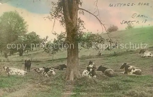 AK / Ansichtskarte Kuehe Noonday Rest  