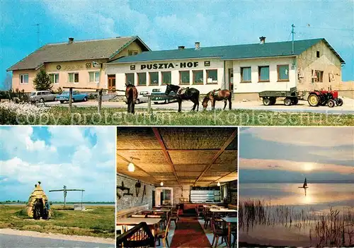 AK / Ansichtskarte Illmitz Puszta Hof mit Kellerstueberl See Ziehbrunnen Illmitz