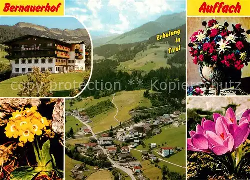 AK / Ansichtskarte Auffach Hotel Restaurant Bernauerhof Alpenflora Fliegeraufnahme Auffach