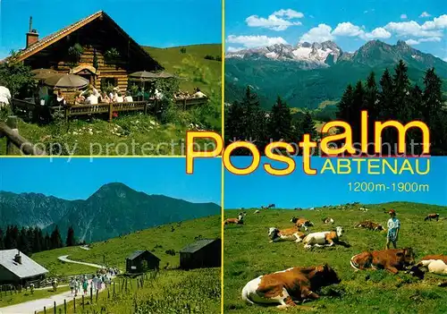 AK / Ansichtskarte Abtenau Wandergebiet Postalm Wieslerhuette Hoher Dachstein Almvieh Kuehe Abtenau