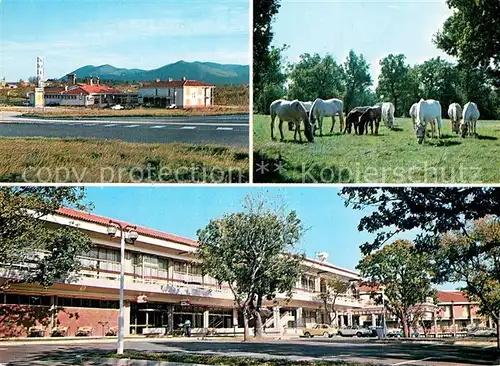 AK / Ansichtskarte Lipica Hotel Maestoso Motel Kozina Lipizzaner Pferde Lipica