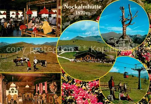 AK / Ansichtskarte Bad_Kleinkirchheim_Kaernten Nockalmhuette Berggaststaette Bergbahn Almvieh Kuehe Bad_Kleinkirchheim