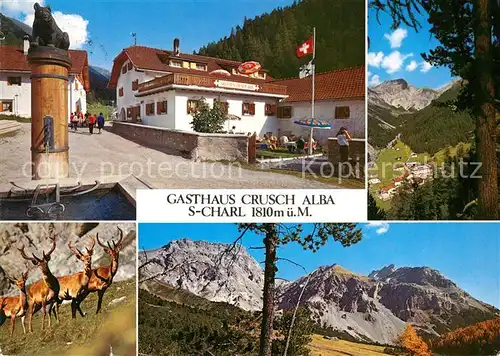 AK / Ansichtskarte S_Charl Gasthaus Pension Crusch Alba Landschaftspanorama Alpen Wild S_Charl