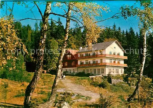 AK / Ansichtskarte Schaueregg_Tauchen Waldgasthof Pension Traenk Toerl Schaueregg Tauchen