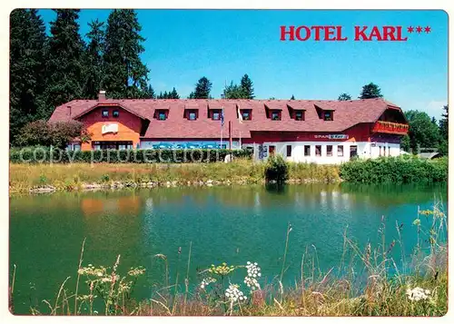 AK / Ansichtskarte Zelezna_Ruda_Markt_Eisenstein Hotel Karl Zelezna_Ruda