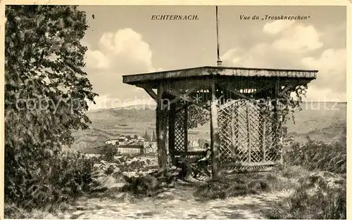 AK / Ansichtskarte Echternach Vue du Trossknepchen Echternach