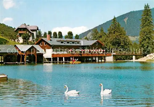 AK / Ansichtskarte Lunz_See_Niederoesterreich Grubmayrs Seeterrasse Gasttaette Restaurant am Lunzersee Schwaene Lunz_See_Niederoesterreich