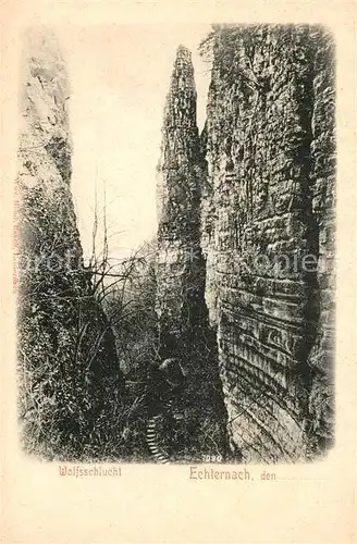 AK / Ansichtskarte Echternach Wolfsschlucht  Echternach