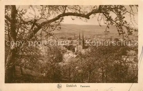 AK / Ansichtskarte Diekirch Panorama Diekirch