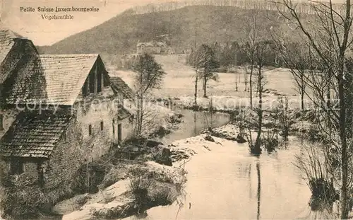 AK / Ansichtskarte Luxembourg_Luxemburg Vogelsmuehle Luxembourg Luxemburg