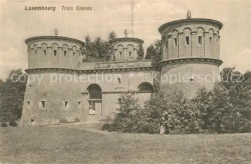 AK / Ansichtskarte Luxembourg_Luxemburg Trois Glands Luxembourg Luxemburg