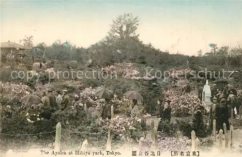 AK / Ansichtskarte Tokyo The Ayalea at Hibiya Park Tokyo