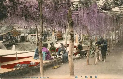 AK / Ansichtskarte Kasugabe Wisteria Blossom 
