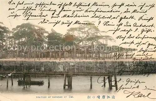 AK / Ansichtskarte Japan Fini Tree of Karasaki at Oml Japan