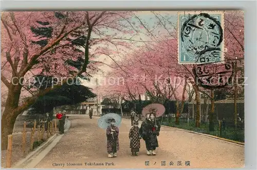 AK / Ansichtskarte Yokohama Cherry Blossoms Yokohama Park Yokohama