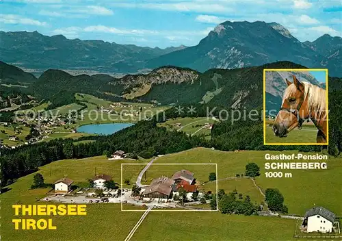 AK / Ansichtskarte Thiersee Alpengasthof Pension Schneeberg Alpenpanorama Fliegeraufnahme Haflinger Pferd Thiersee
