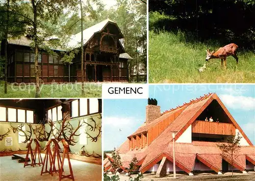 AK / Ansichtskarte Gemenc_Szarvas Szarvas Csardabol Hotel Restaurant Jagdtrophaeen Wild 