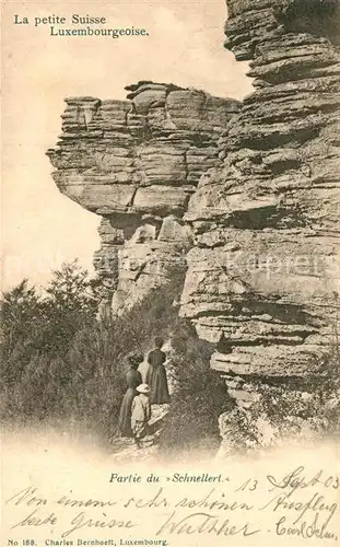 AK / Ansichtskarte Luxembourg_Luxemburg La petite Suisse Luxembourg Luxemburg