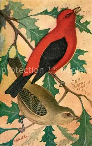 AK / Ansichtskarte Voegel Scarlet Tanager Kuenstlerkarte 