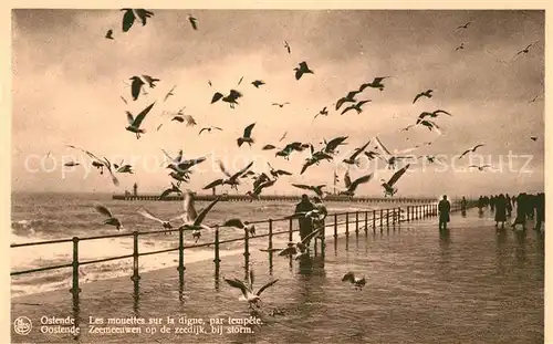AK / Ansichtskarte Ostende_Oostende Les mouettes sur la digue par tempete 