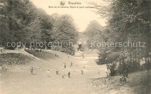 AK / Ansichtskarte Bruxelles_Bruessel Bois de la Cambre Ravin et pont rustique Serie 1 No. 186 Bruxelles_Bruessel