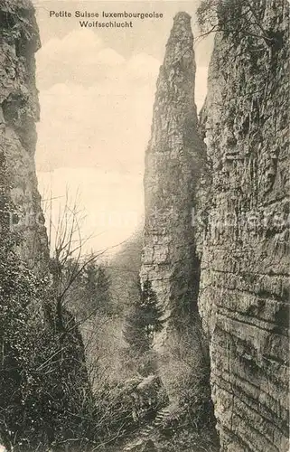AK / Ansichtskarte Luxembourg_Luxemburg Petite Suisse Wolfsschlucht Luxembourg Luxemburg