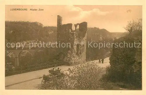 AK / Ansichtskarte Luxembourg_Luxemburg Hueolen Zant Luxembourg Luxemburg