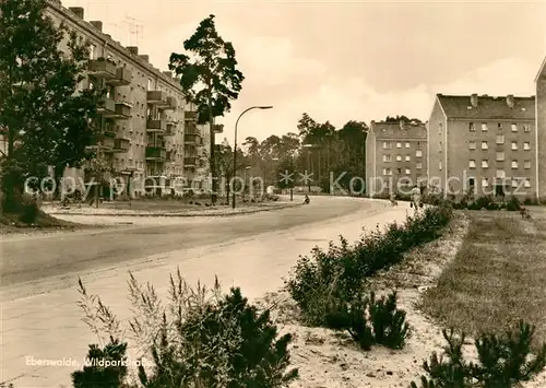 AK / Ansichtskarte Eberswalde Wildparkstrasse Eberswalde