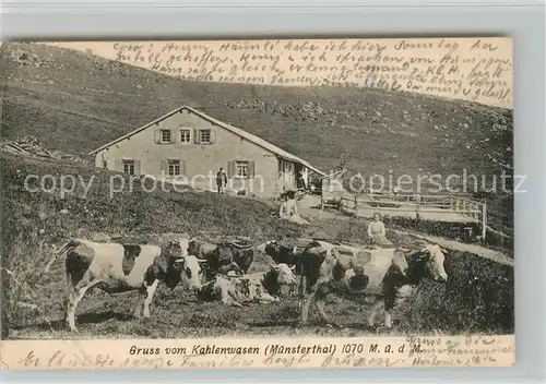 AK / Ansichtskarte Muenstertal_Schwarzwald Kahlenwasen Bauernhof Muenstertal_Schwarzwald