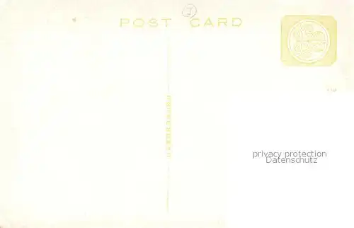 AK / Ansichtskarte Nikko The Cryptomeria Avenue Nikko