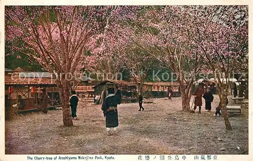 AK / Ansichtskarte Kyoto Cherry tree of Arashiyama Nakajima Park Kyoto