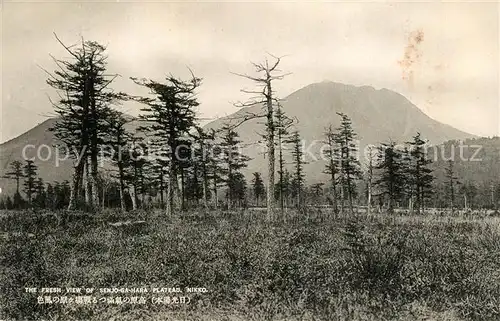 AK / Ansichtskarte Nikko Senjo Ga Hara Plateau Landschaftspanorama Nikko