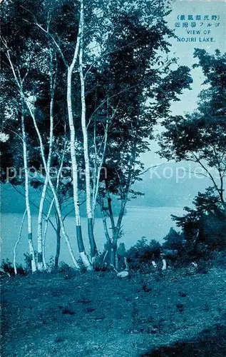 AK / Ansichtskarte Shinano Nojiri Lake Landschaftspanorama 