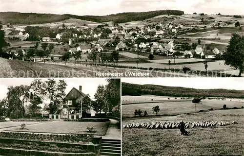 AK / Ansichtskarte Neuenheerse Panorama Hotel Schafherde Neuenheerse