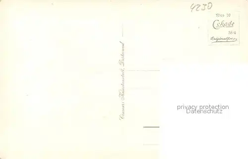 AK / Ansichtskarte Wesel_Rhein Rathaus Wesel Rhein