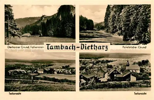 AK / Ansichtskarte Tambach Dietharz Falkenstein Apfelstaedter Grund Teilansichten Tambach Dietharz