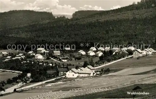 AK / Ansichtskarte Waldmuenchen Panorama Waldmuenchen